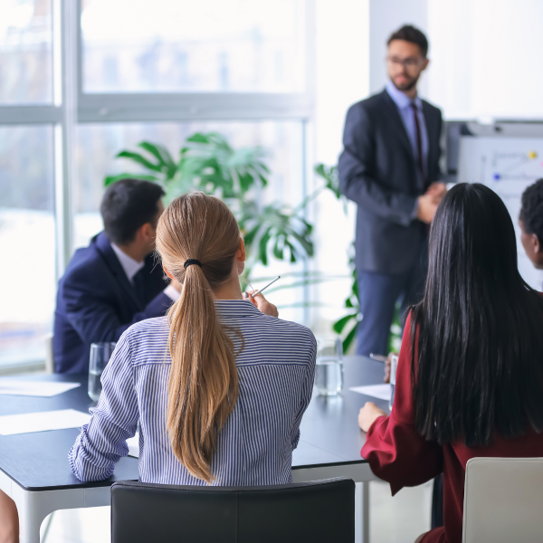 Effective Programme and Project Management Success